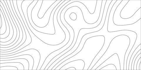 Abstract black and white background vector featuring a vintage floral pattern with elegant swirls, lines, and decorative leaf silhouettes © MRIDUL