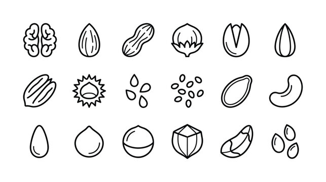 Collection of various nuts and seeds icons in a simple line art style