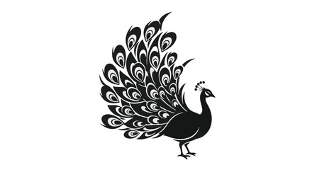 Fototapeta premium Peacock displays its ornate tail feathers in a detailed black and white graphic illustration.