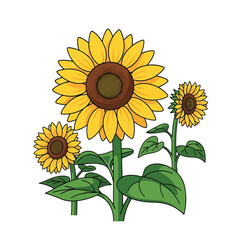 Obraz premium Three Sunflowers with Green Leaves Illustration.