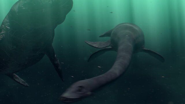 An epic underwater 3d animation of a struggle during the Cretaceous periodA massive Mosasaur hunts a long-necked Plesiosaur in deep prehistoric waters