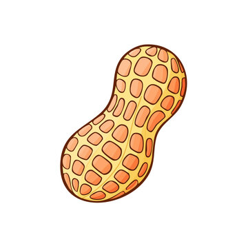 Peanut illustration with shell and cartoon style texture isolated on white
