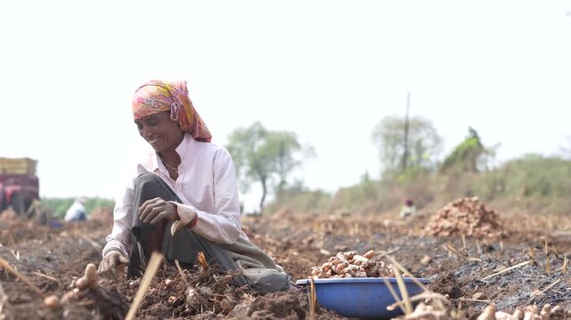 happy indian female worker working at turmeric agricultural field