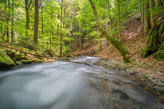 View of the mountain stream in Vajskovska dolina with silky water flowing through a lush green forest and mossy rocks in Dolna Lehota, Banskobystricky kraj, Slovakia.