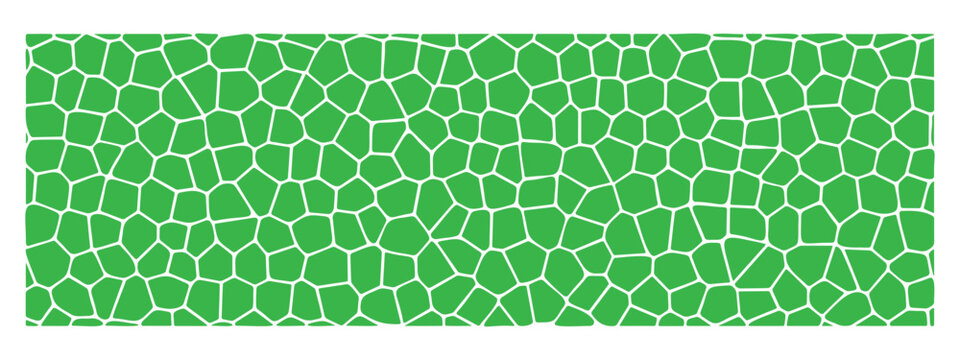Abstract Green Voronoi Geometric Pattern, Organic Cell Structure Texture and Minimalist Mosaic Background