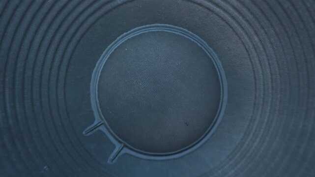 A macro view of a black paper subwoofer cone vibrating to produce deep bass frequencies. The textured central dust cap and ribbed outer edges pulse under intense acoustic sound pressure.