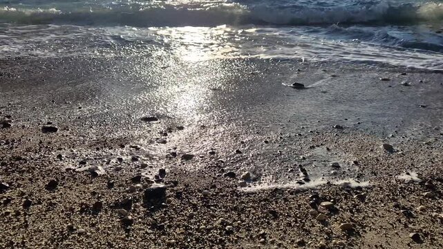Waves, Beach, Sunset, gentle waves washing onto a pebbly beach with golden sunlight reflecting on the water