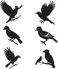 Obraz premium Collection of silhouette bird poses vector illustration with small bird large bird baby bird parent bird line art silhouette