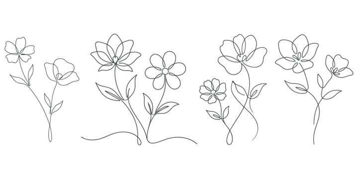 Continuous line drawing of various flowers and leaves, vector illustration eps 10