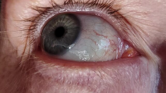 Title: Close up human blue eye with visible eyelashes and skin texture, macro vision detail, medical and beauty concept.