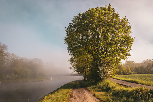 Misty Canal Towpath in Golden Morning Light with Tree Reflections Near Bramsche, Lower Saxony, Germany