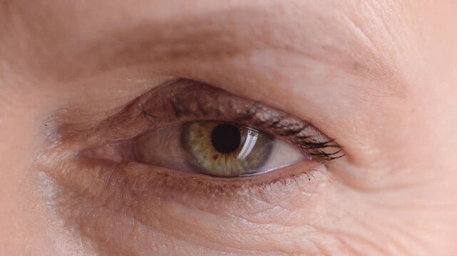 Eye, face and wellness with mature person for optometry exam, eyesight vision and myopia test. Closeup, ophthalmology and ocular care with contact lens, optical assessment and portrait for health