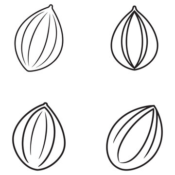 Four black line art illustrations of different walnut shells in various orientations on white background for food and nutrition concepts  walnut shells