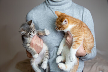 Woman holding two kittens at home, cozy lifestyle concept © Aron Forton
