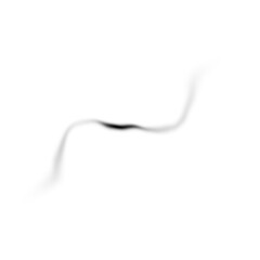 Obraz premium Hand-drawn black squiggle line on transparent background
