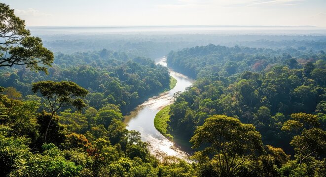 Stunning aerial perspective of a winding river snaking through a vast green tropical jungle with dense canopy trees and misty horizons, vegetation, wild, canopy