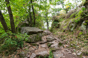 Fototapeta premium Rugged stone hiking trail through an ancient forest in the Vosges mountains. Natural landscape with mossy rocks and autumn trees near Ribeauville, Alsace, France.