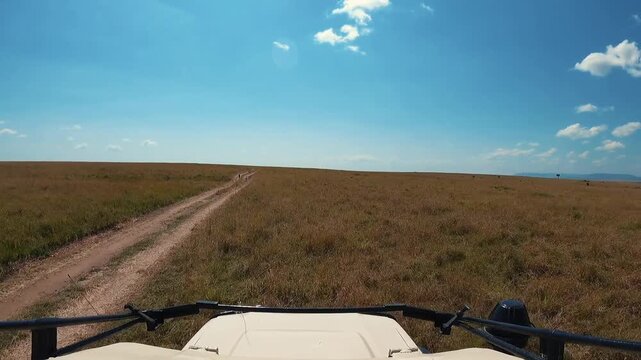 A head-mounted camera captures a safari drive through Masai Mara National Reserve, Kenya.