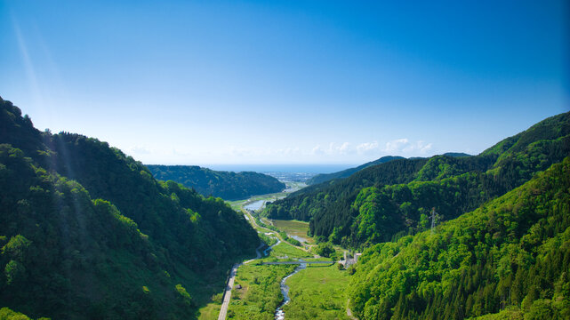 雪解け水が流れる富山県東部の小川とその周辺の様子