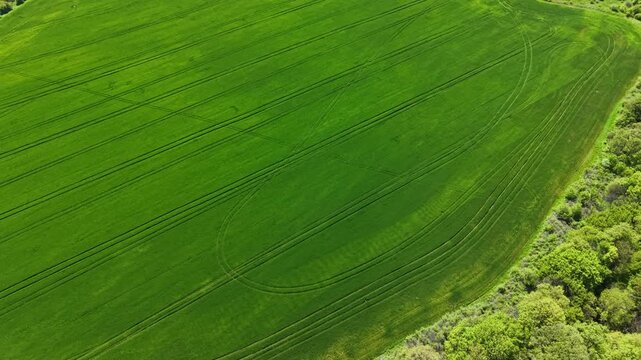 A large field of wheat is visible from above, showcasing the green landscape. Farming lines and patterns can be seen throughout the field. The field is in a rural area with some trees nearby.