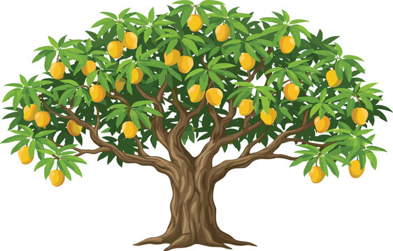 Lush Tropical Mango Tree Full of Ripe Yellow Mangoes with Green Leaves and Brown Trunk on White Background Vector Illustration