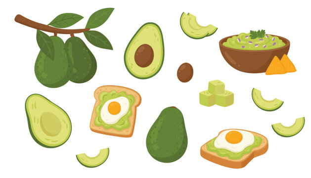 Cartoon set with avocado fruit on branch with leaves. Whole avocado, half and slices, cubes. Avocado toast with poached egg, bowl of guacamole with lime and nachos. Flat vector set