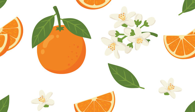 Oranges  and flowers. Vector seamless pattern