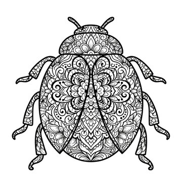 Ornamental Mandala Style Ladybug Silhouette Black and White Decorative Beetle Illustration with Floral Zentangle Pattern for Tattoo and Print Design
