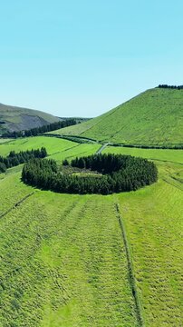 Scenic round Pau Pique lake in caldera surrounded by trees on Sao Miguel, Azores. Aerial view