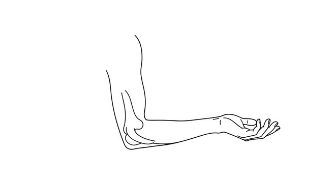 Anatomical line drawing of a human arm focuses on the elbow joint to illustrate bone structure and movement.