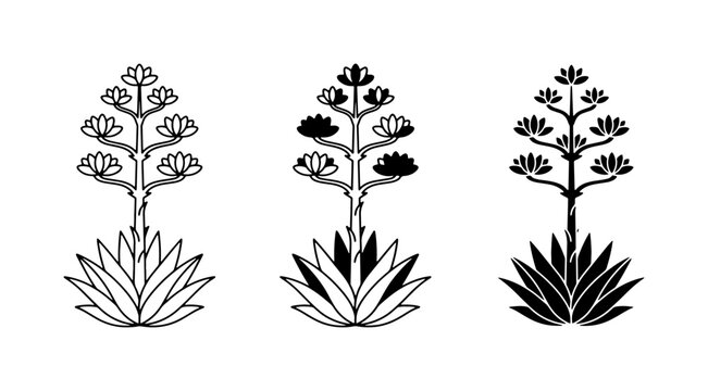 Agave Plant Vector Icons, Desert Succulent Illustrations, Botanical Line Art, Mexican Flora Graphics