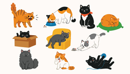 Fototapeta premium Set of diverse cats playing and relaxing together.
