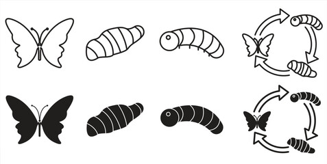 Butterfly life cycle stages icon, metamorphosis from caterpillar to adult butterfly, isolated on white background, vector illustration.   © sawangsinawang