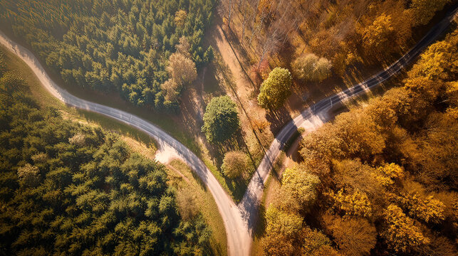 pivotal. Aerial view of a forked path in an autumn forest, representing pivotal life choices. representing seasonal cycles and harvest abundance.
