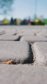 Extreme low angle view of grey paving stones on a pedestrian walkway. The shallow depth of field highlights the texture of the pavement. A blurred park background appears behind.