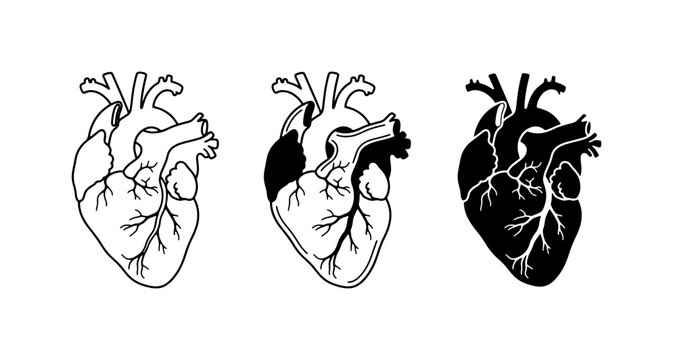 Anatomical Heart Vector Icons, Medical Symbol Set, Cardiology Illustration, Black and White Health Graphics