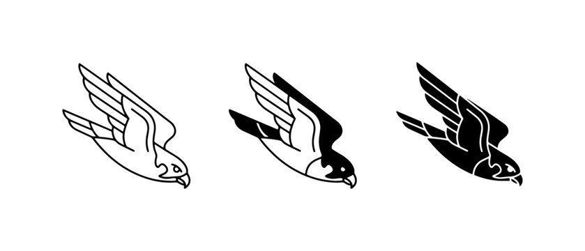 Falcon Vector Icons, Bird of Prey Graphics, Silhouette and Outline Styles