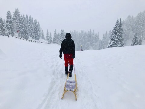 Man pulling a sledge through the snow, snowy landscape during snowfall, Spitzingsee, Upper Bavaria, Bavaria, Germany