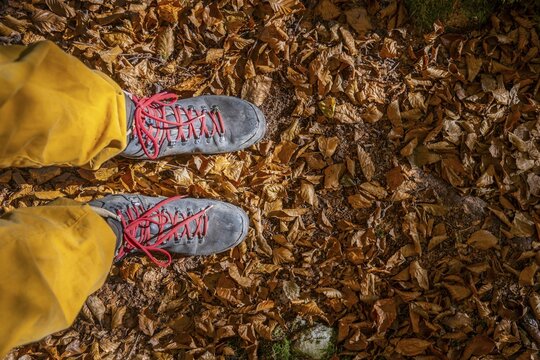 Hiking boots on forest floor, in autumn, near Scharnitz, Bavaria, Germany