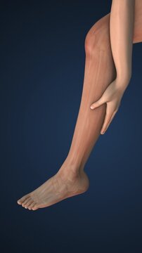 Muscle cramp in the leg