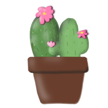 cactus in a pot