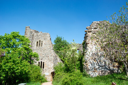 Burg Badenweiler, Margr&auml;flerland, Deutschland