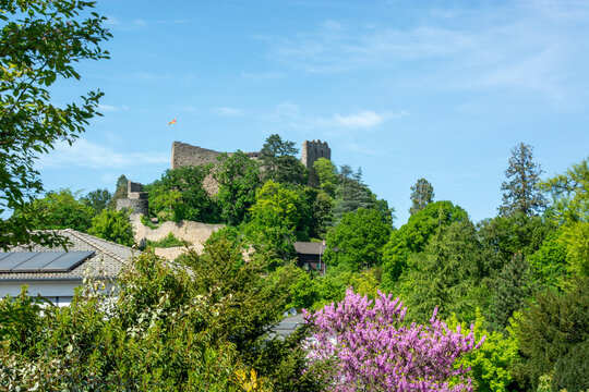 Burg Badenweiler, Margr&auml;flerland, Deutschland