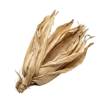 Dried Corn Husk