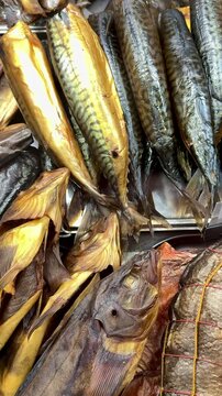 Close-up smoked mackerel bream walleye, golden oily scales glisten on metal shelf, rows of cured whole fillets and smoked heads