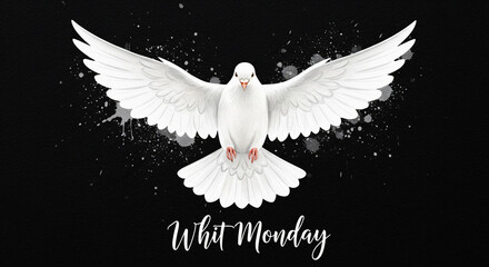 White Dove Flying with Wings Spread on Black Background with Whit Monday Text - Spiritual Celebration and Peace Concept Illustration for Religious Holidays