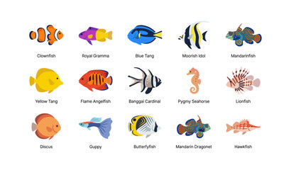 Obraz premium Illustrated reef fish icons arranged on white background