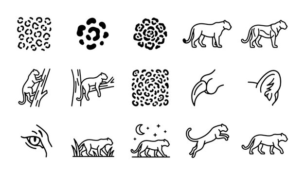 Leopard Print Patterns, Big Cat Silhouettes, Wildlife Icons, Animal Eye & Ear, Vector Graphics
