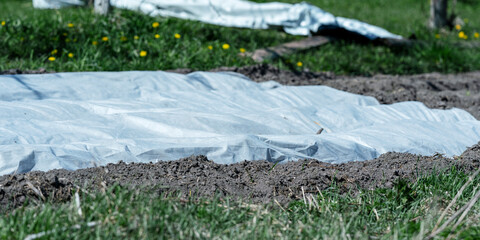 Farm garden bed with white non woven fleece material covering rows of soil, protecting emerging plants from cold elements © Bonsales