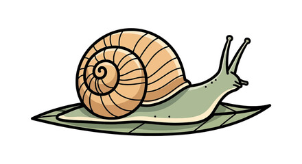 Cute cartoon snail crawling on a green leaf, vector illustration © Mamun